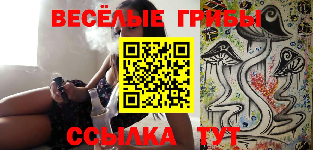 Нижнеудинск  Псилоцибиновые грибы Psilocybe  Вход с VPN 