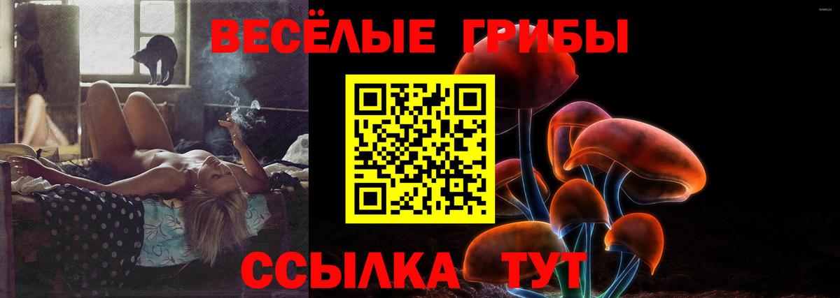 Галлюциногенные грибы Psilocybine cubensis Нижнеудинск